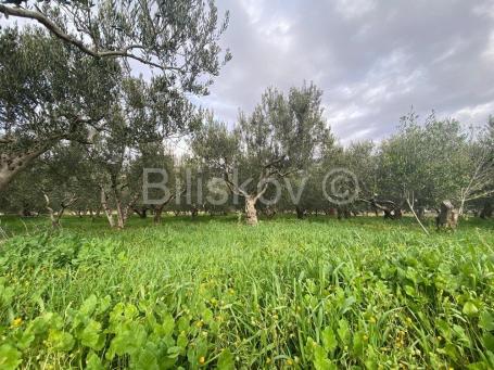 Kaštel Sućurac, građevinsko 1417m2, prodaja