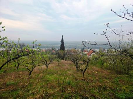 VIKENDICA U STAROM SLANKAMENU, POGLED NA DUNAV