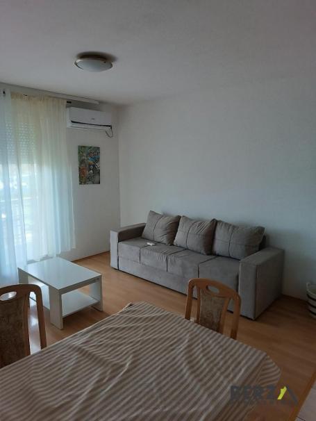 NAMEŠTEN JEDNOIPOSOBAN STAN, &nbsp; PET FRIENDLY, NA NOVOSADSKOM PUTU KOD LIDLA