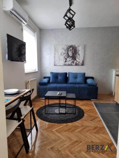 MODERAN, LEPO NAMEŠTEN JEDNOIPOSOBAN STAN NA GRBAVICI