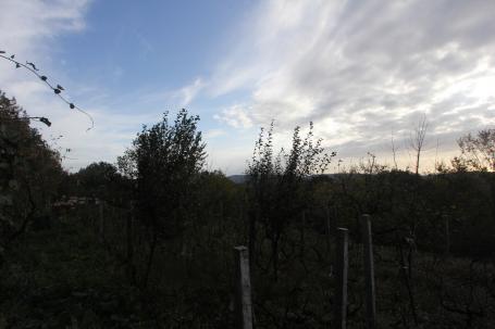 Plot in Mokrine
