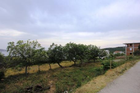 Plot in Susanj