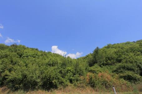 Plot in Radanovici