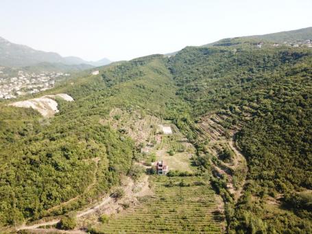 Plot in Radanovići, 83,000 m²