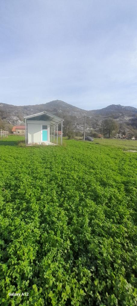 Plot for Sale in Grahovo