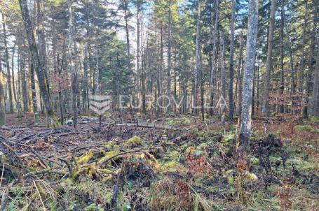 Bosiljevo, poljoprivredno zemljište 12800 m² uz autocestu