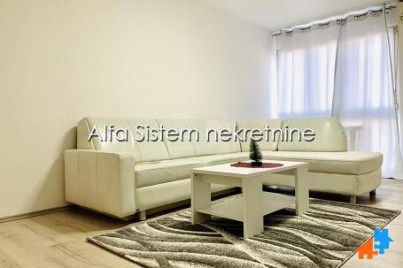 Izdavanje, Stan, Botanička bašta