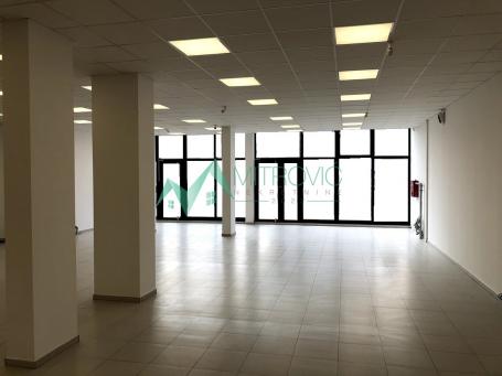 Izdavanje, Poslovni prostor, 330m2 , Grbavica - Telep