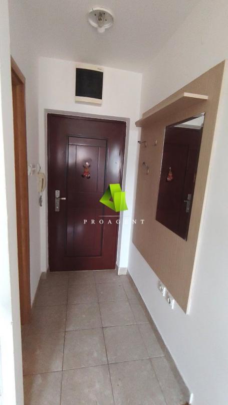 PET FRIENDLY garsonjera kod Filozofskog fakulteta ID#8217