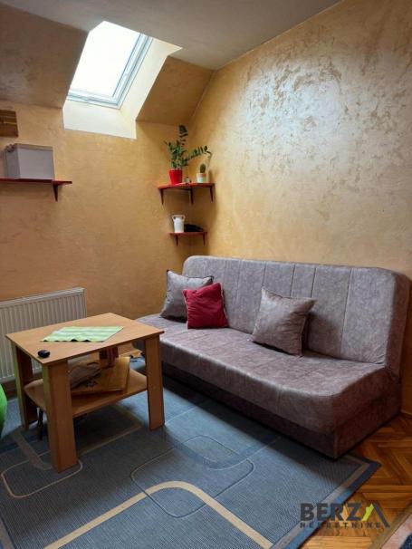 NAMEŠTEN JEDNOIPOSOBAN DUPLEKS, PET FRIENDLY - VALENTINA VODNIKA