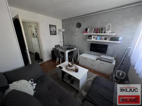 DETELINARA, 20m2, Garsonjera, Nameštena, Renovirana