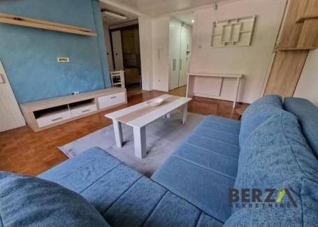  LEPO NAMEŠTEN, PET FRIENDLY JEDNOIPOSOBAN STAN - LIMAN 4