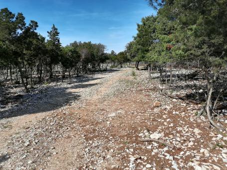 Ćunski, Otok Lošinj - Poljoprivredno, 16658 m2