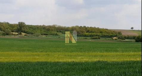 Ruma - 25.3 jutara na 2.5km od asfalta