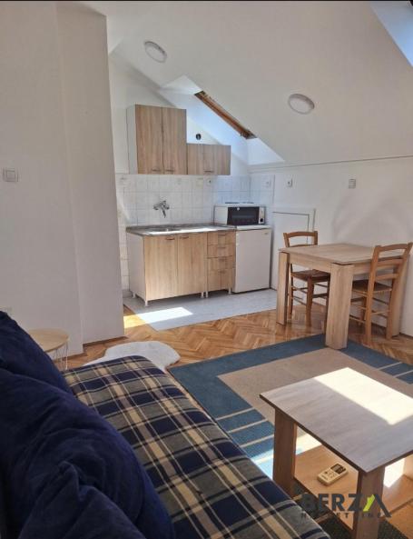  NAMEŠTENA PET FRIENDLY GARSONJERA - BULEVAR, NADOMAK FUTOŠKE PIJACE