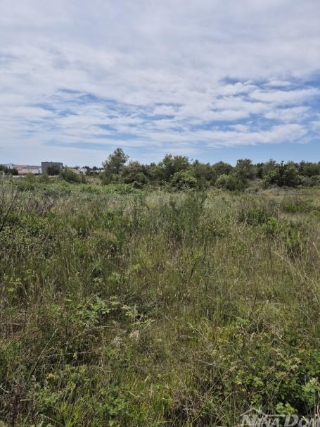 Građevinsko zemljište u Vrsima – izgradite dom svojih snova!