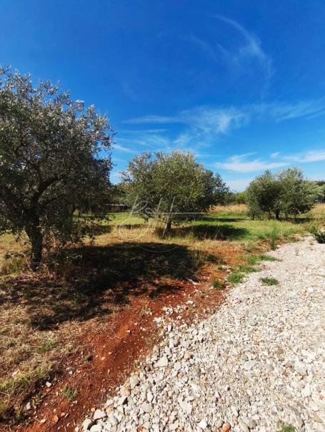 Ekskluzivno - Galižana - urbanizirana zemljišta, 3300 m2