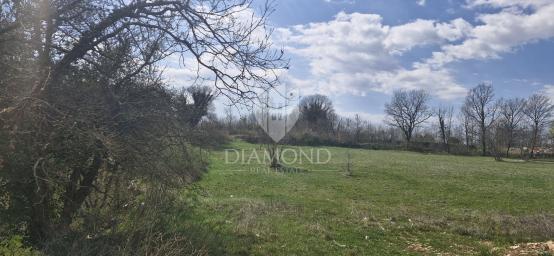 Svetvinčenat, okolica, zemljište s građevinskom dozvolom
