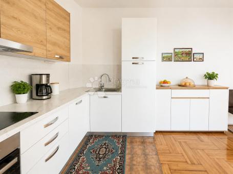 PROSTRANI 1S+DB APARTMAN U NIVICAMA