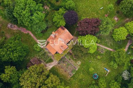 Lonjsko polje, Gušće, šarmantna vikendica na zemljištu površine 25000 m²