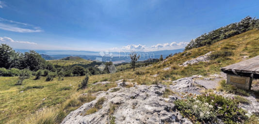 JEDINSTVENA PONUDA - PLATAK