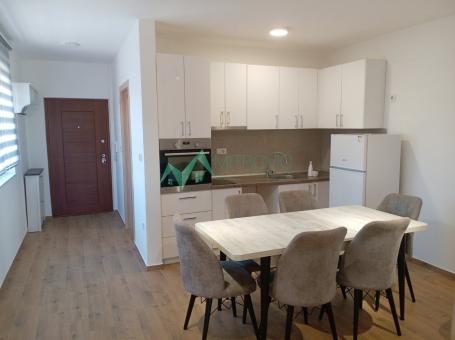 Izdavanje, Stan, 45m2 , Adice