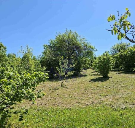 Fenomenalan plac na prodaju Sremska Kamenica 5226m2, 571703