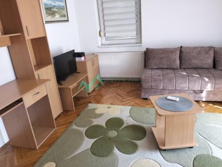 Izdavanje, Stan, 28m2 , Detelinara