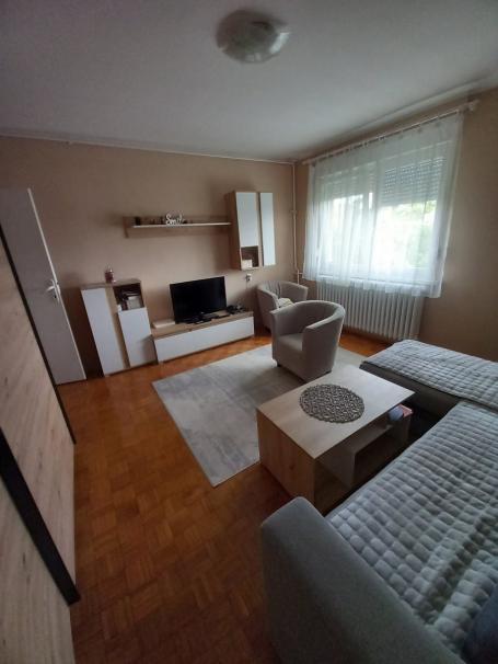 NOVI SAD - STANICA - 47.00 m2