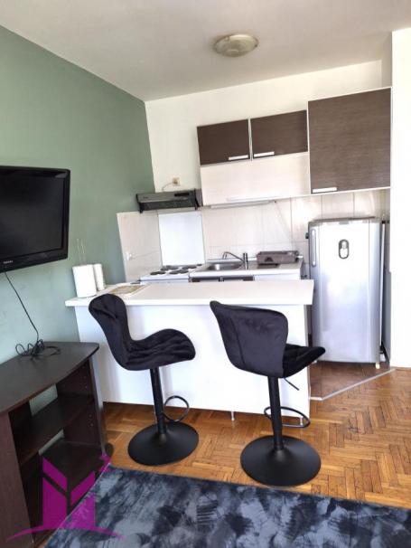 Novi Sad - pet friendly