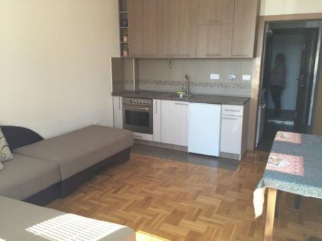 Izdavanje, Stan, 26m2 , Bubanj