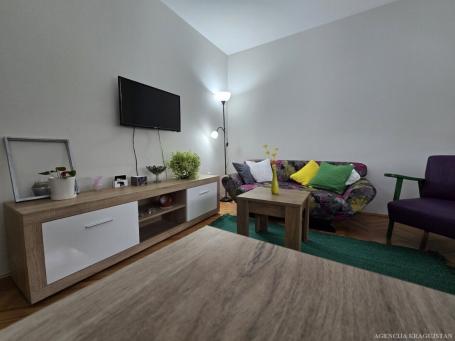 Izdavanje, Stan, 49m2 , Bubanj
