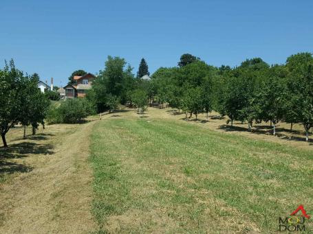 ČORTANOVCI - CENTAR - KUćA - 65 m2 - 67,000€