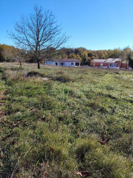 ŽMINJ - Dvije urbanizirane parcele, 1246 m2