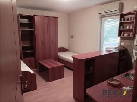 NAMEŠTENA PET FRIENDLY GARSONJERA SA FIKSNIM TROŠKOVIMA, BEZ DEPOZITA - GRBAVICA