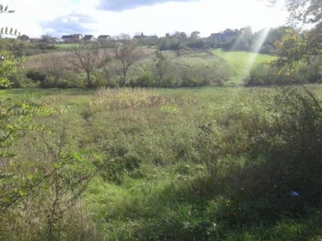 Prodaja, Plac, Male pčelice
