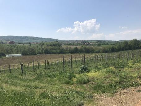Prodaja, Poljoprivredno zemljište, Dragobraća