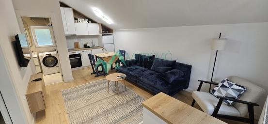 Izdavanje, Stan, 38m2 , Podbara