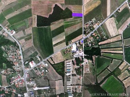 Prodaja, Poljoprivredno zemljište, Cerovac