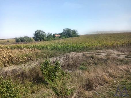 Sirig - u blizini glavnog puta, prodaje se salaš sa 4 jutra zemlje, uknjižen. 

Salaš se nalazi na d