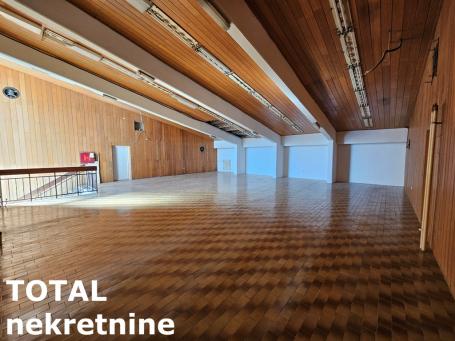 SREMSKA KAMENICA - TATRSKO BRDO - 151.00 m2