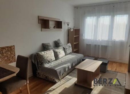 LEPO NAMEŠTEN JEDNOIPOSOBAN STAN - NOVO NASELJE