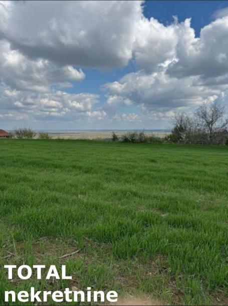 PETROVARADIN - VEZIRAC - 1438.00 m2