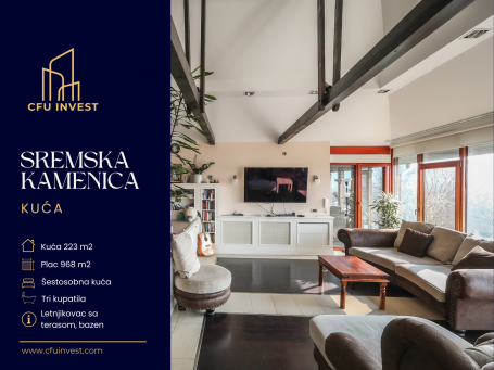 SREMSKA KAMENICA - SREMSKA KAMENICA - 223.00 m2