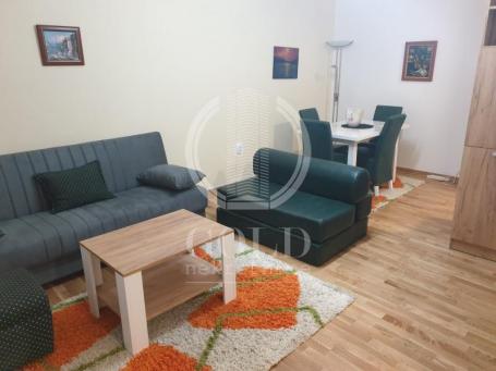 IZDAVANJE Stan 2.0: Novi Sad, Preradovićeva, 47m2 ID#10505