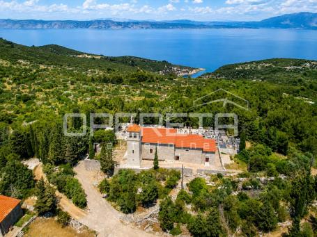 Hvar, Zastražišće – maslinik i lavanda na 4.600 m²