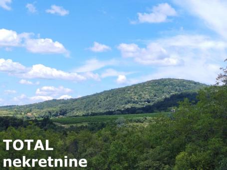 VELIKA REMETA - FRUŠKA GORA - 5050.00 m2