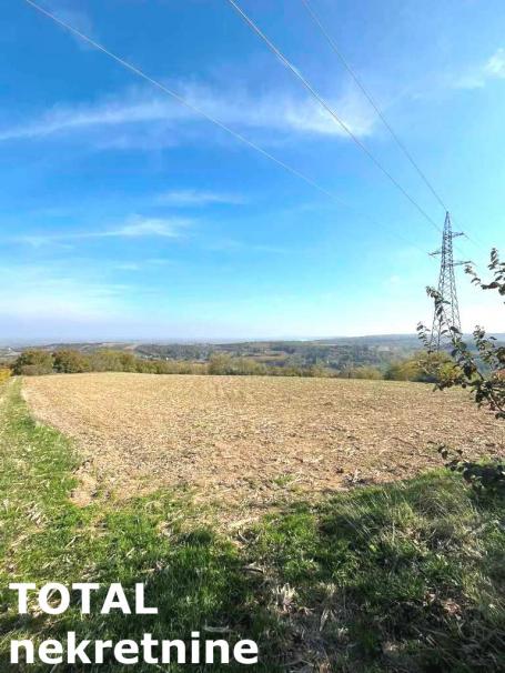 SREMSKI KARLOVCI - SREMSKI KARLOVCI - 12392.00 m2