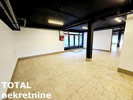 SREMSKA KAMENICA - TATARSKO  BRDO - 190.00 m2