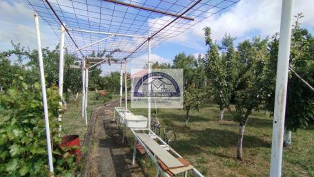 Prodaja, Kuća, 37m2 , Cerovac